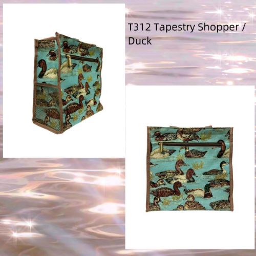 Picture of T312-Duck